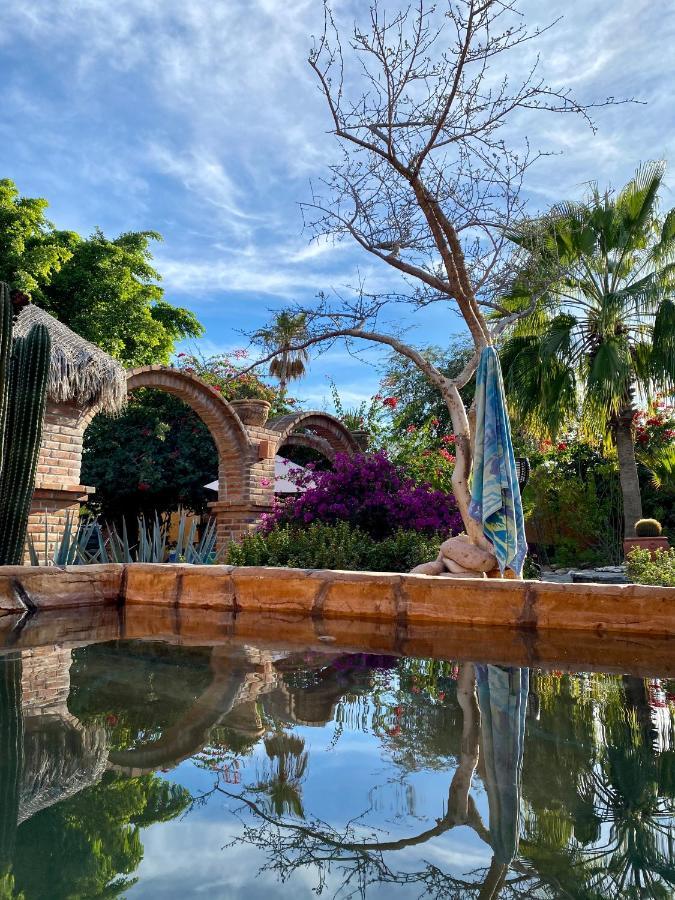 Bed and Breakfast Casa Xochitl El Centenario Экстерьер фото